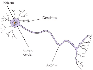 Neurónio